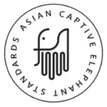 frame 1000000998 768x723